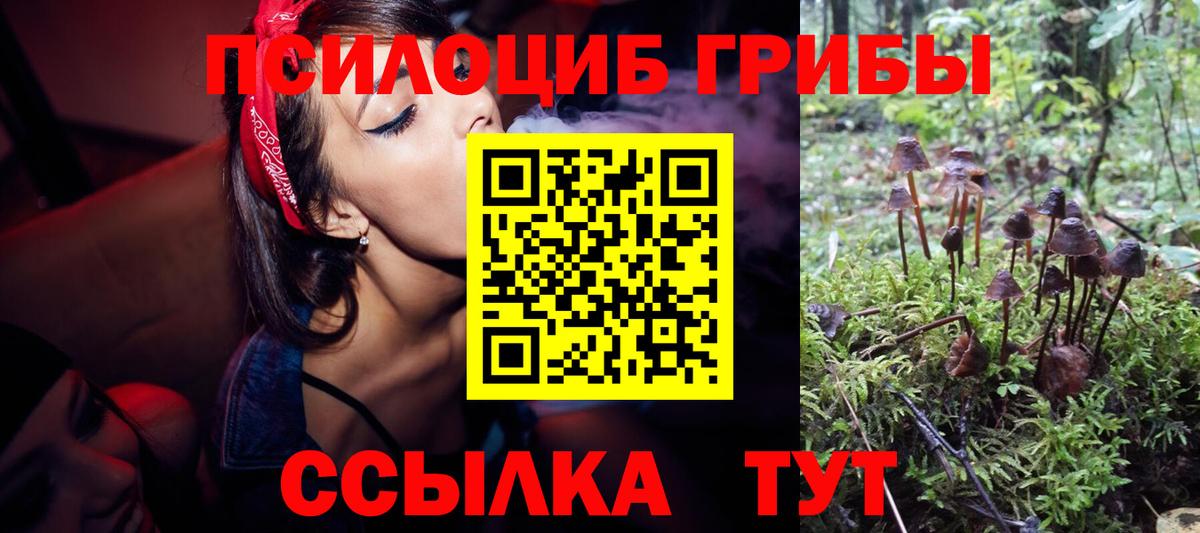 Галлюциногенные грибы Psilocybe  Вход с VPN  Дальнереченск 
